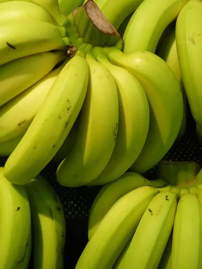 O Melhor Lugar para Guardar Bananas.