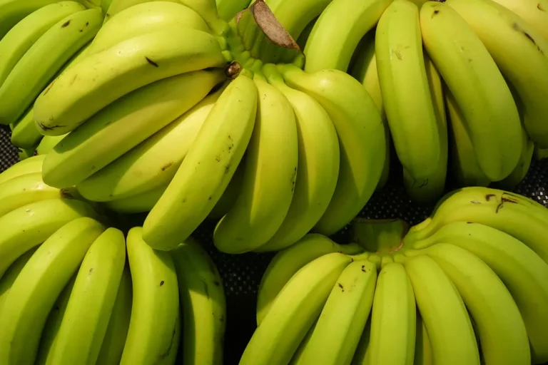 O Melhor Lugar para Guardar Bananas.